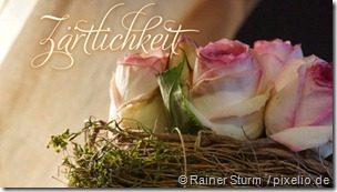 6 Tipps um die Liebe frisch halten